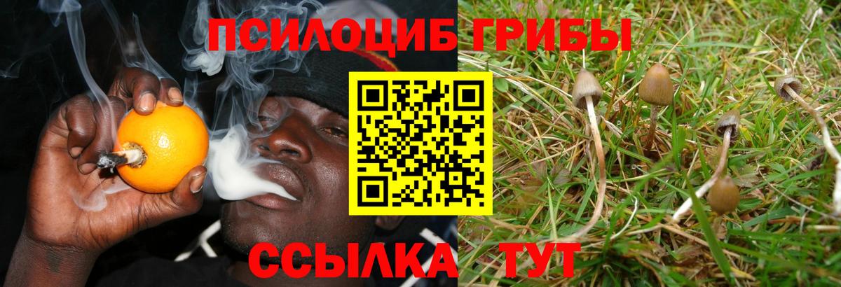 Галлюциногенные грибы мухоморы  Вход с VPN  где найти наркотики  Лесосибирск 